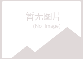 林州初夏音乐有限公司